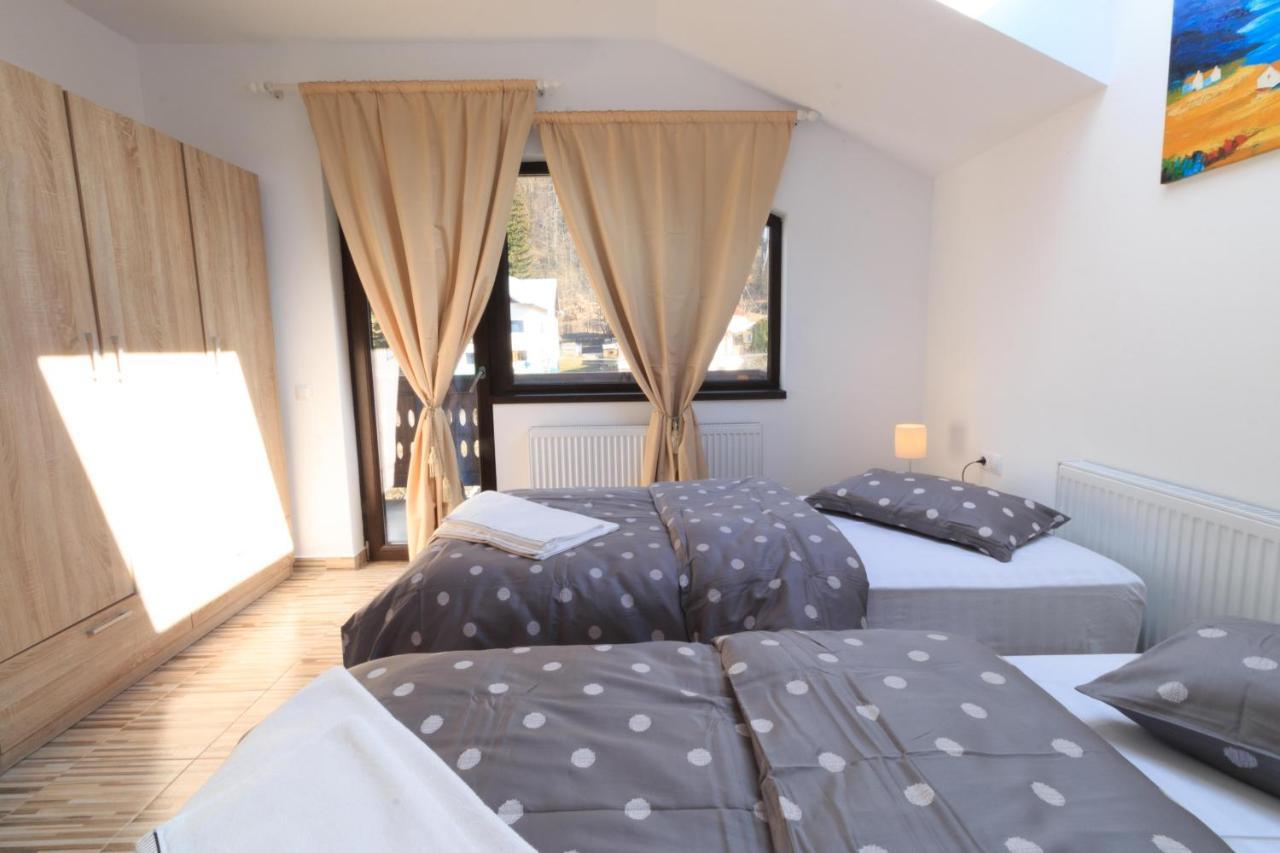 Stars & Mountain Apartment Buşteni Exteriér fotografie
